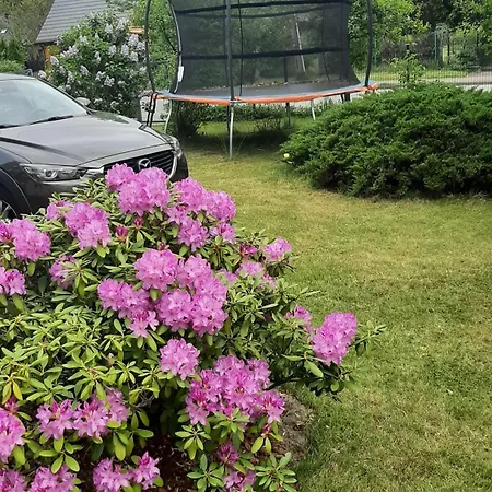 Pod Dębem *