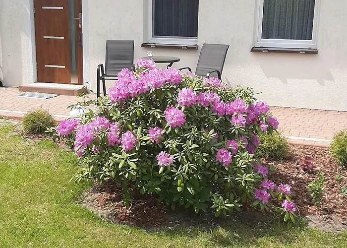 Pod Dębem * Zarnowska